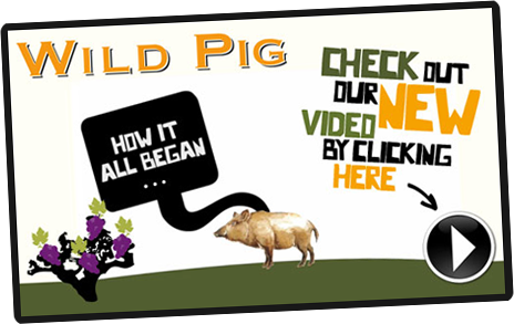 Wild Pig-wijnen: waar het allemaal begon